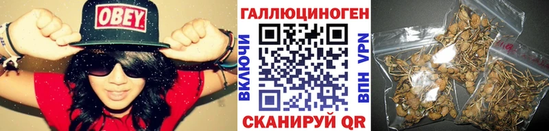 Псилоцибиновые грибы MAGIC MUSHROOMS  где найти наркотики  гидра ТОР  Лермонтов 